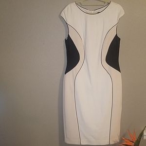 Ann Taylor dress, size 8